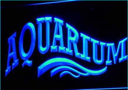 OPEN Aquarium Shop Fish Display Neon Light signs